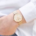 Daniel Wellington DW Klokke Petite Unitone 32mm Gold