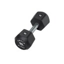 CENTR x HYROX Urethane Dumbbell Hex hantler