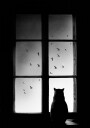 winter is coming Poster Plakat / 100x150cm