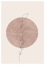 Circle and Vine Plakat / 40x50cm