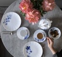 Royal Copenhagen Blomst asjett 22 cm fransk anemone