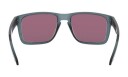 Oakley Holbrook XL  prizm jade