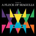 A Flock Of Seagulls  The Best Of A Flock Of Seagulls  CD