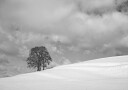 A cloudy winter day Plakat Plakat / 30x40cm
