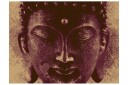 Fototapet Wise Buddha 350x270 - Artgeist sp. z o. o.