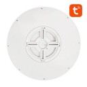 Gosund Taklampe Smart 30Cm Wifi/Bluetooth 16M Rgbcw Lb12 1920Lm Tuya + Fjernkontroll