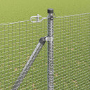 sveiste gjerde med 13 spikerposter 1,6x50 m galvanisert stål