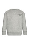 Björn Borg Borg Essential 1 Sweatshirt Grey 170