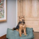 Fantail Snooze Hundeseng Botanical Green 60x50 cm