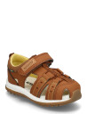 Kavat Tobo Tx - Brown - 32/20.9CM