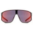 Solbriller Red Bull Spect Dash (Grå)
