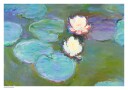 Nympheas 1897 Plakat by Claude Monet Plakat / 21x30cm