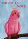 Sweet Pink Galah Plakat / 21x30