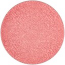 MAC Cosmetics Eye Shadow Pro Palette Refill Pan 1,3 g In Living Pink