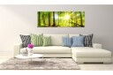 Bilde Majestic Trees 150x50 Artgeist sp. z o. o.