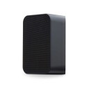 Bluesound PULSE FLEX 2i Trådløs Høyttaler Sort