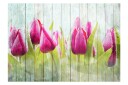 Fototapet Tulips On White Wood 100x70 - Artgeist sp. z o. o.
