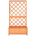 vidaXL Blomsterkasse med espalier brun 70x30x135 cm heltre gran
