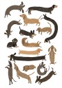 Dachshund Print Plakat Plakat / 21x30cm