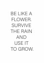 Like a Flower Plakat Plakat / 100x150cm