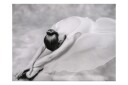 Fototapet Fotografi Ballerina 300x231 - Artgeist sp. z o. o.