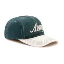 Ami Paris Herre Accessories Grønn ONE SIZE,