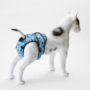 Tispetruse Tissebleie Hund Løpetidstruse