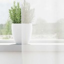  Voilegardiner med hemper 2 stk hvit 140x140 cm 8721158553478