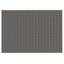 Vidaxl Vektdyne grå 140x200 cm 6 kg stoff