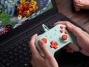 8bitdo Ultimate 2c Hall Effect Kontroller Mint