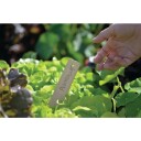 Nelson Garden 5999 Klebeetikett bambus 22 cm, 8-pakning, Avling