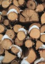 Wooden Logs Plakat Plakat / 21x30cm