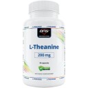 DNS L Theanine   90 Kapsler