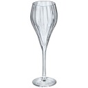 Chef & Sommelier Symetrie champagneglass 6 stk 16 cl klar