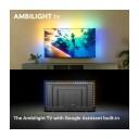 Philips 55" 4K LED Google TV 55PUS8100/12