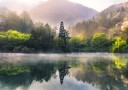 Misty Spring Lake Reflection Plakat / 50x70