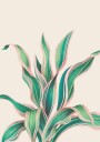 Tropical Green Pink Plant Plakat Plakat / 21x30cm