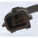 Sensor, ABS TRISCAN 8180 10225