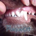 Plaqueoff Animal, Tannstein fjerner, 3 størrelser - 180 gram