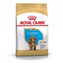 Royal Canin Cocker Spaniel Valp Tørrfôr 3 kg - Hundefôr for Valper