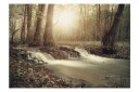 Fototapet Forest Cascade 250x175 - Artgeist sp. z o. o.