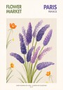 Lavender Blooms Plakat Plakat / 50x70cm