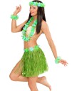 Kahului Hawaii Kostyme Sett 5 Deler