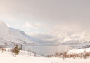 Magical Norway Plakat Plakat / 21x30cm