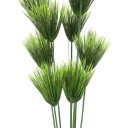 Europalms Papyrus Plant, 150cm