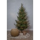 Star Trading Juletre Star Trading Uppsala 210 cm 606 01