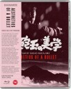 Aesthetics Of A Bullet 1973 Bluray