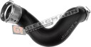 GT BERGMANN GT52 647 Ladeluftslange