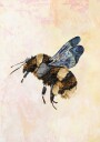 Grunge Watercolour Bee Plakat / 70x100cm