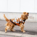 Little&Bigger Bearlie Hundegenser str. 40 Brun
